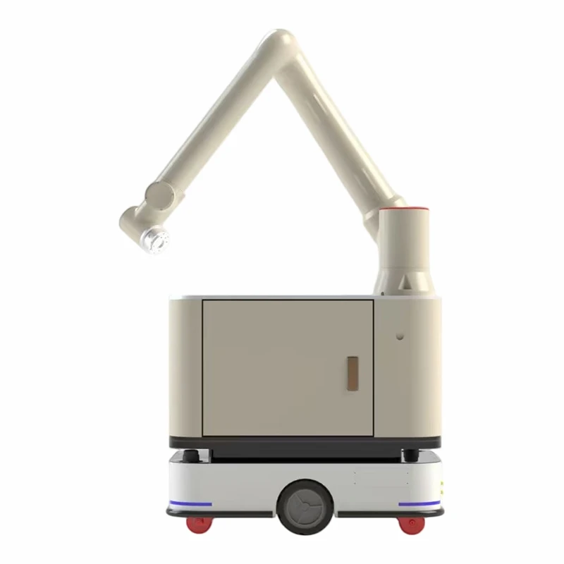 Lifting Robot 600KG