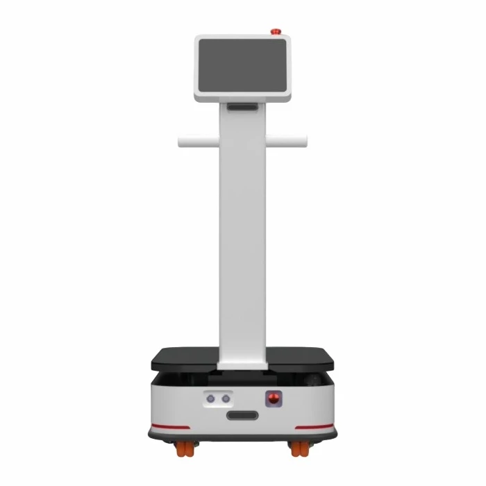 Material Handling Robot 100KG factory